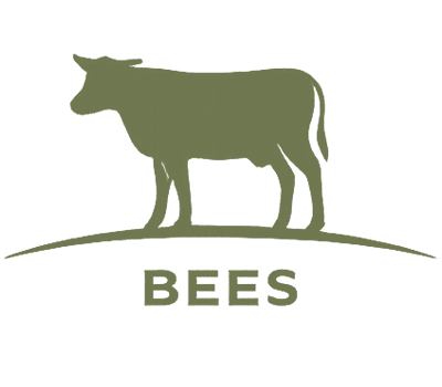 Bees