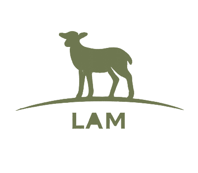 Lam